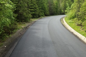 Ranforsare Transalpina DN67C Mirghis&Mayer